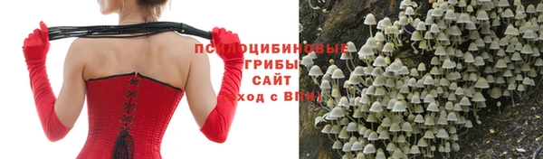 круглые Гусев