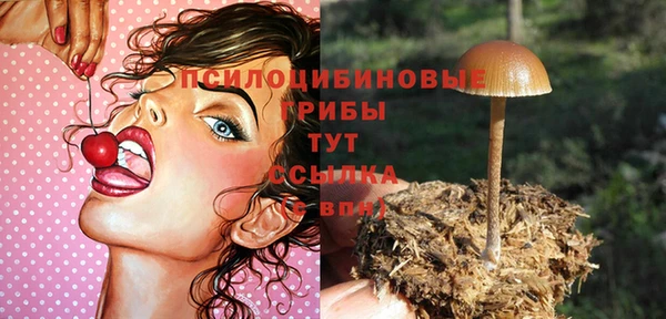 кокс Дмитровск