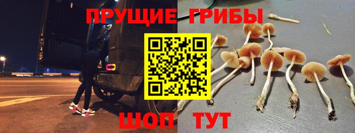 Обь  Псилоцибиновые грибы ЛСД  Вход с VPN 